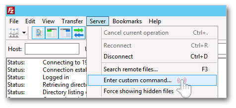 Field for Enter raw FTP command