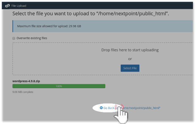 Go back to cPanel file manager