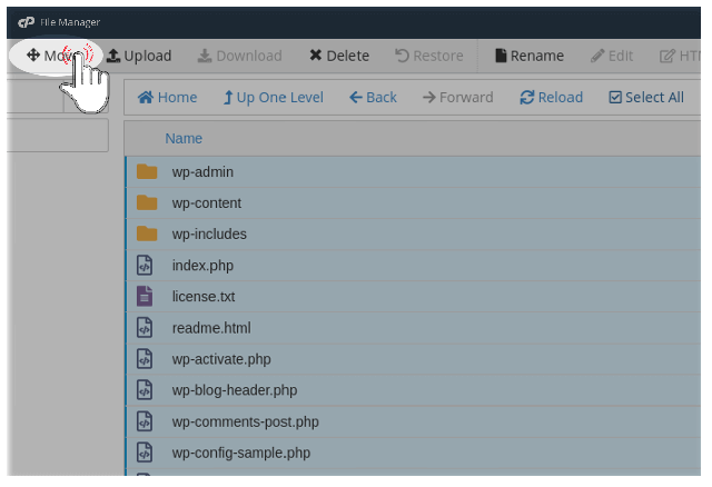 Move button of cPanel file manager