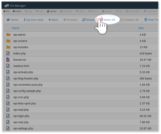 Select All files inside folder via cPanel file manager